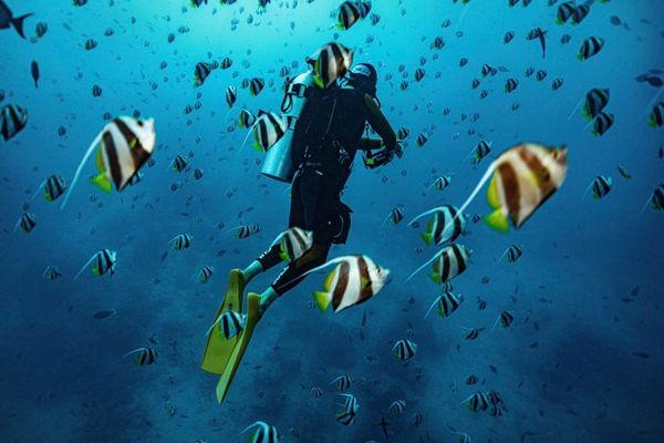 Aquatic Ventures-galleryimage-4